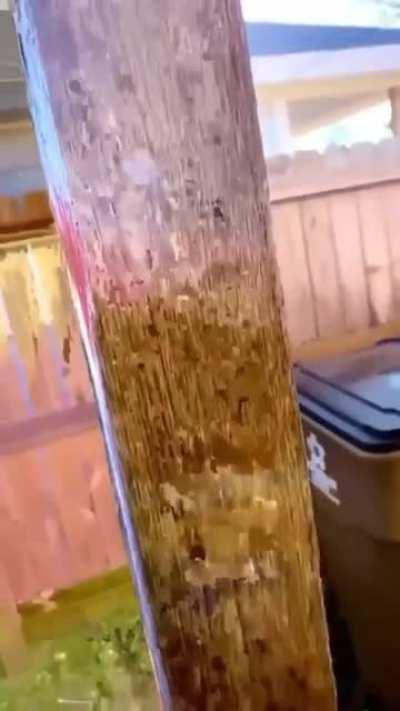 Yeeeaaahh...*walks away*