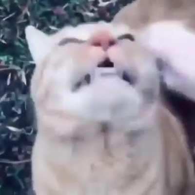 TATATATATATATARRRRRRR