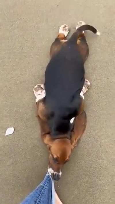 He wants to stay at the beach