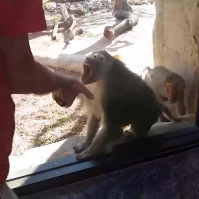 O que ? Como ??? (Reddit Ready)