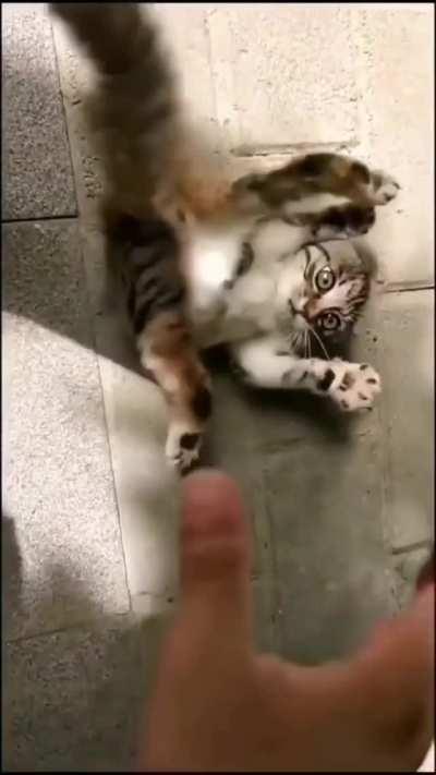 Here comes the tickle monster