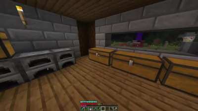 what are these villagers attracted to?