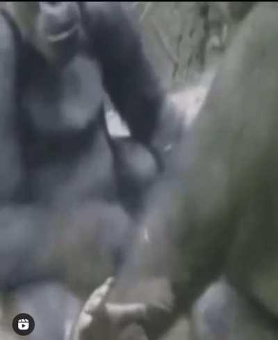 Luangameplay666 - Video #8788