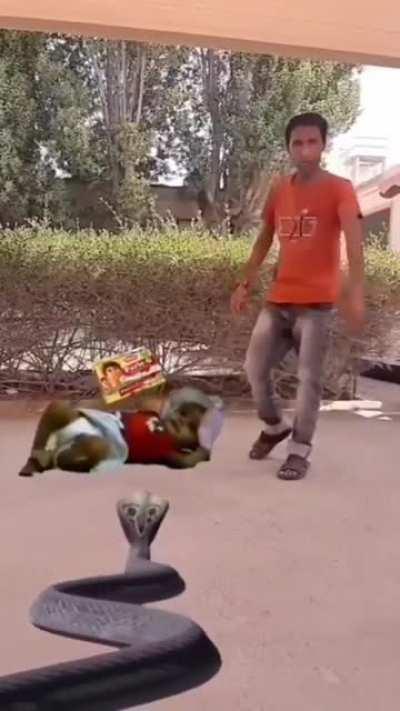 Snake chad saves a freaking baby