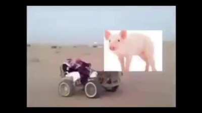 😂😂😂😂يركب جوال الله