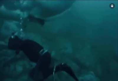 Don't warn just film