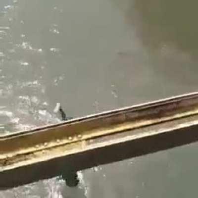 When you wife's gravity is more than you!🤣