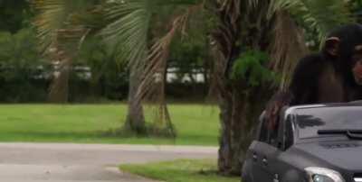 Fuck you Hedgie🖕GME-AMC TO THE MOON🚀🚀🚀🚀