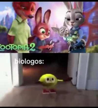 Pero que chingadazos?