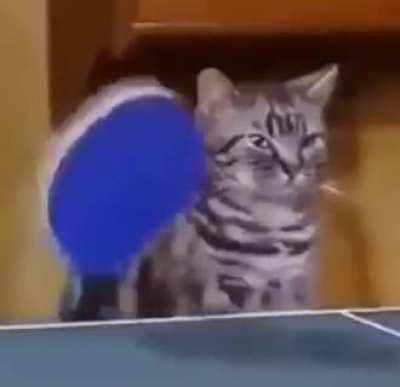 The most banger song i've ever heard 😎