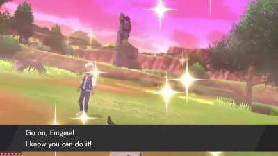 [8] shiny haxorus after 477 encounters :)