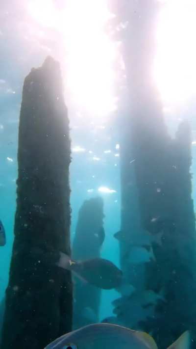 Sunset below the bridge, Isla Mujeres m views. GoPro 7 Black