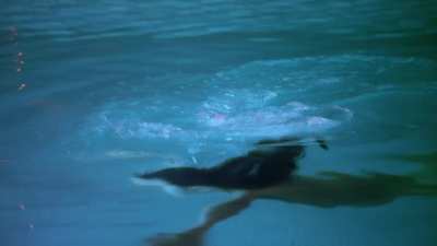 [1080p60fps] Shameless S01E07 (2011) - Emmy Rossum