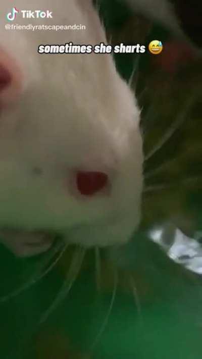 I'm losing my mind why is this so funny to me