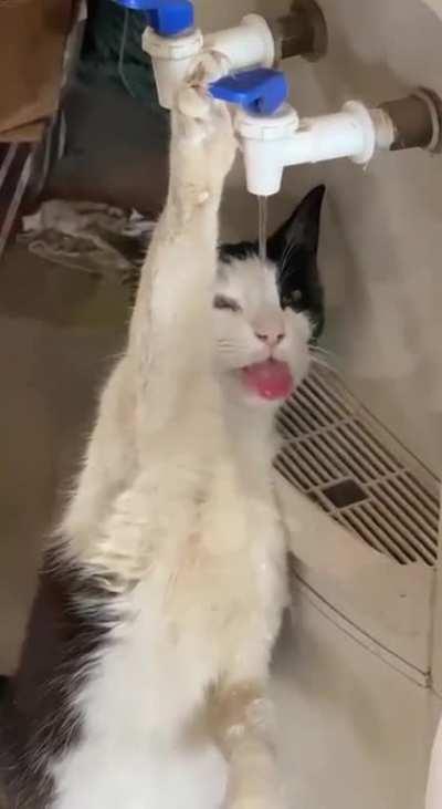 Soon she'll ask for a glass