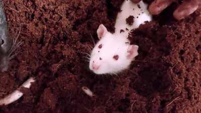 I am one with nature.