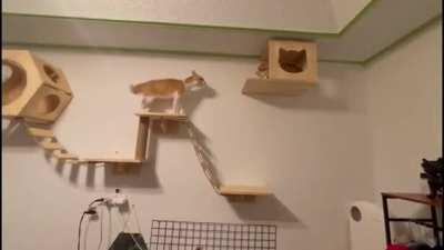 Well, great defense...