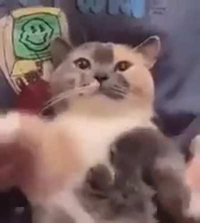 Gxjgxfisgidkgchlvjxjgafsrstchchoc