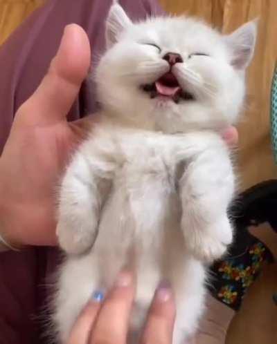 SicKO HumaN hOLds CorPsE oF dEaD CHiLd