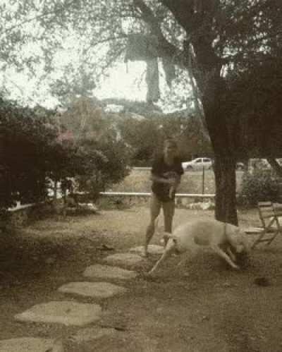 It goes from epic fail from oh wait is that legal..