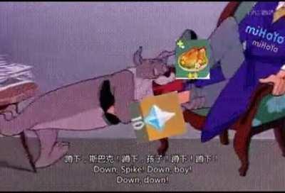 White Knights be like: (Sorry but I don't know the original creator of the gif.)