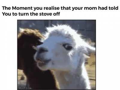 Is that the Smoke Detector?