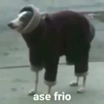 Ase frio