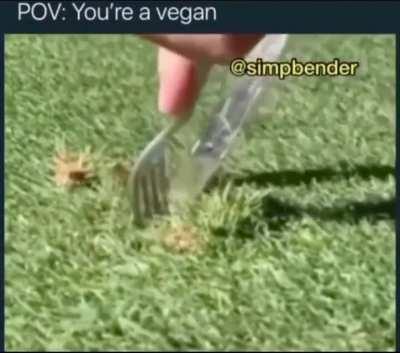 Vegan