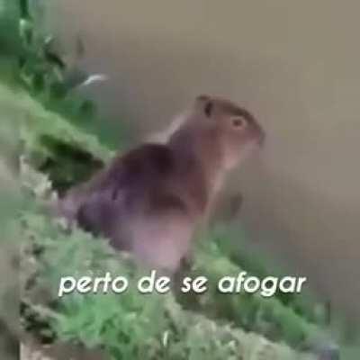 um clássico ki cao estranho