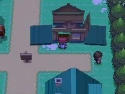 Twinleaf Town needs new houses...