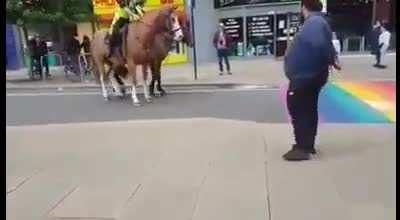 Homophobic police horses