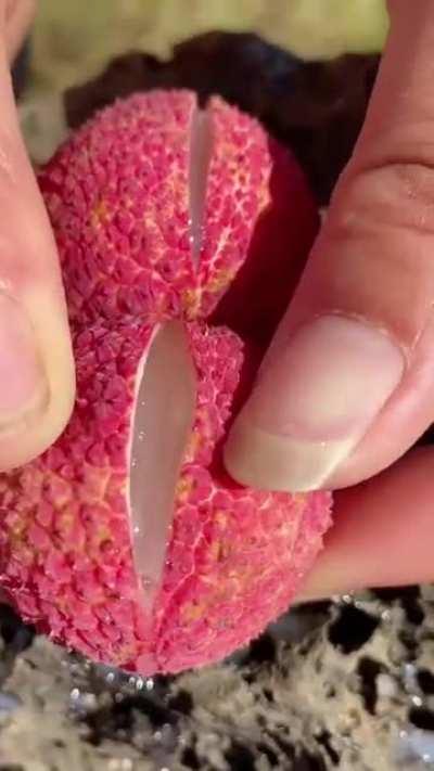 Me cutting open someone's balls