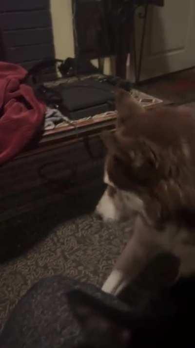 Source of his tantrum at the end… wait for it…