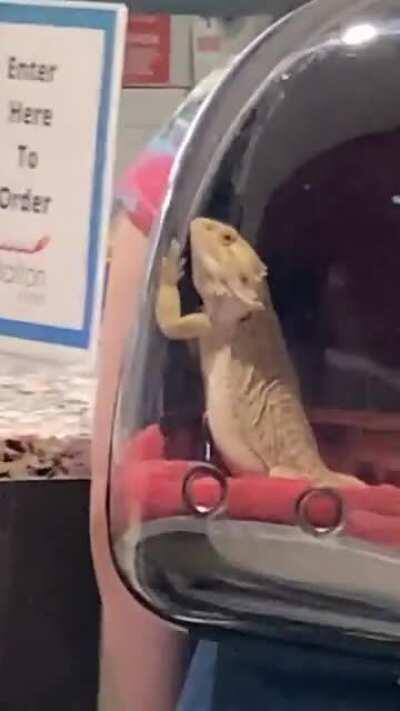 Normal day in college