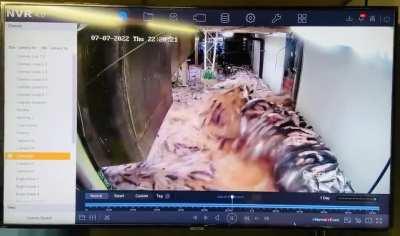 Epic failure of job training in a Salmon Cannery in Alaska 7-7-22