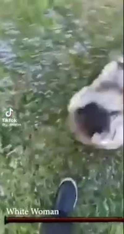 how it looks playing any souls borne game