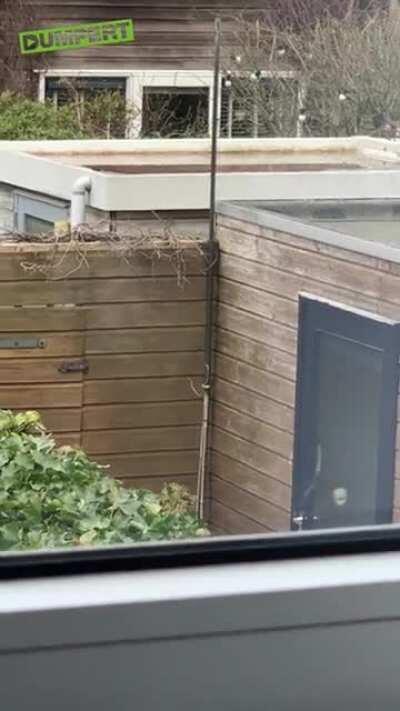 Cat doesn't forgets that with too much heft, there is not enough lift.