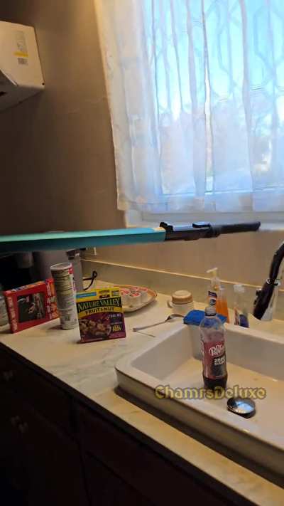 That's one way to handle a wasp!