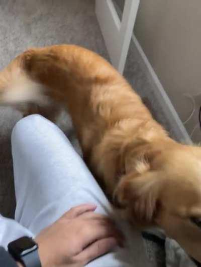 Penny says &ldquo;PET ME&rdquo;