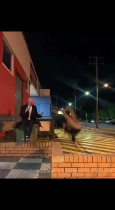 Winning the prize for drunk stupidity.