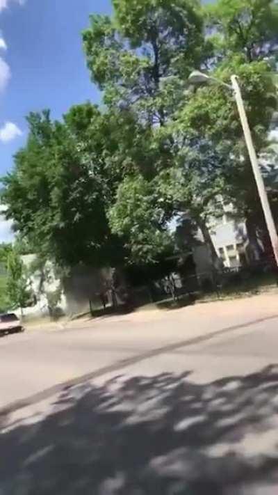 The Magic School Bus Reboot?