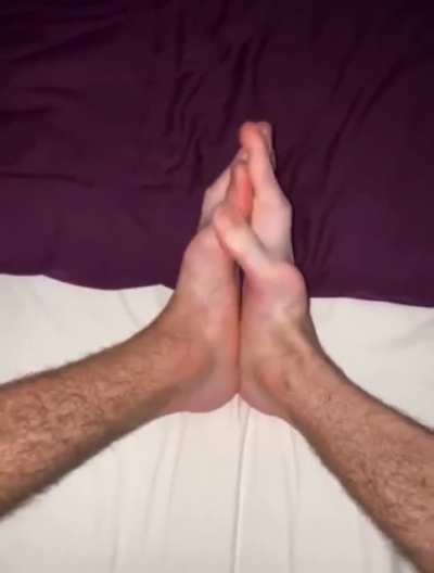 Ногорук обыкновенный.