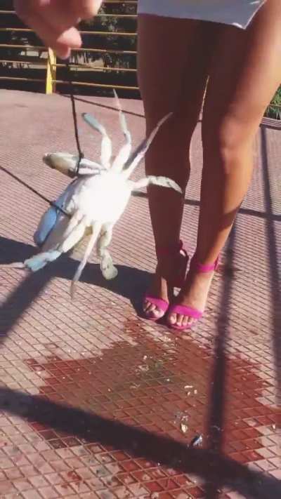 Italian girl crush cra..