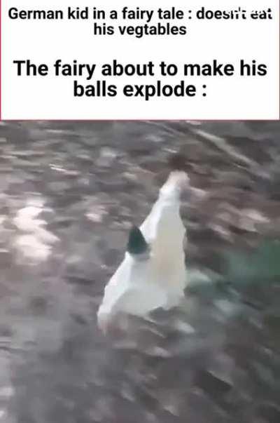 wholesom faiyry momento 🥰