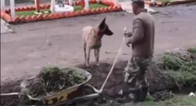 A man's best friend indeed