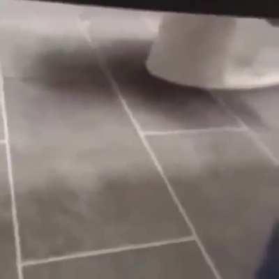 I would literally die