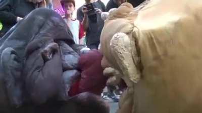 the Miracle of Life: fun for the entire family