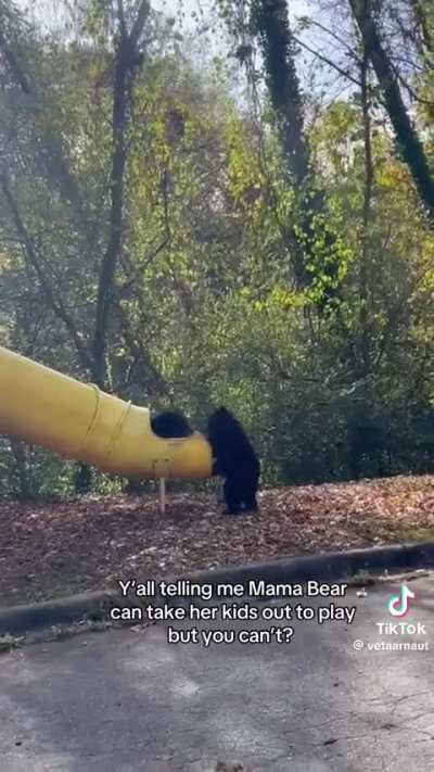 Mama bear taking the kids to the playground 🥹