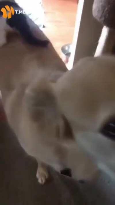 They are just best friends forever ❤️❤️❤️