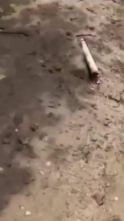 To dump debris on a PuertoRican beach